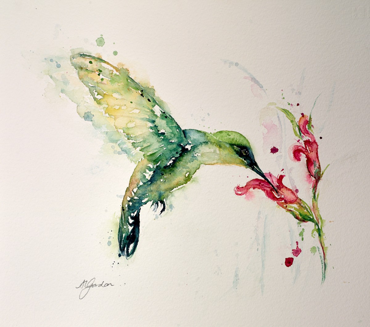 Emerald Hummingbird